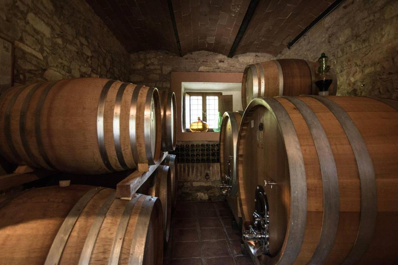 Agriturismo Buondonno Castellina in Chianti Eksteriør bilde